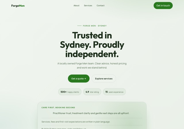 Preview of the menphys website template