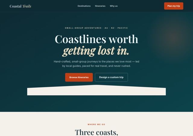 Preview of the travel website template